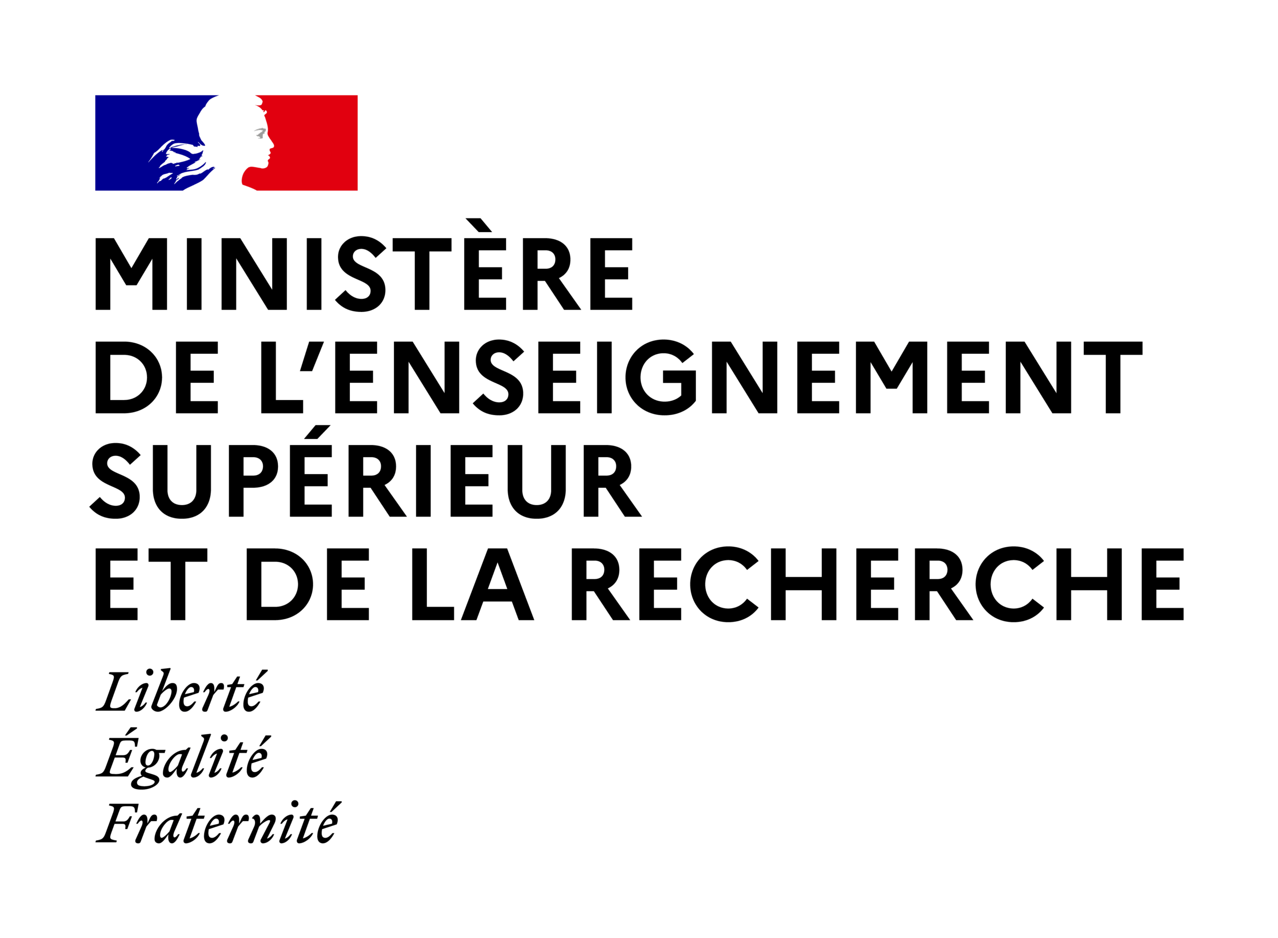 Footer Image